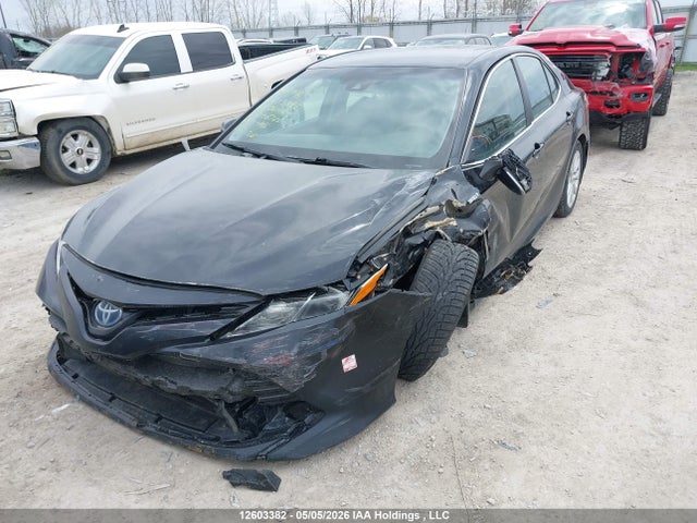 4T1B31HK5KU006766 Toyota Camry