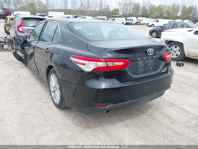 4T1B31HK5KU006766 Toyota Camry