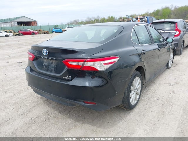 4T1B31HK5KU006766 Toyota Camry