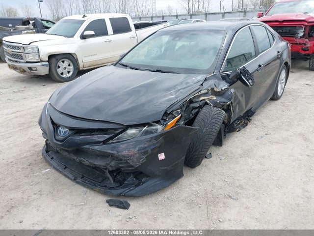 4T1B31HK5KU006766 Toyota Camry
