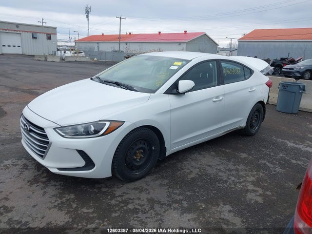 Продаж на аукціоні авто 2017 Hyundai Elantra Le, vin: 5NPD74LF4HH149367, номер лоту: 12603387