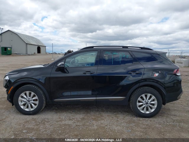 2023 Kia Sportage Lx მანქანა იყიდება აუქციონზე, vin: KNDPUCAF3P7175125, აუქციონის ნომერი: 12603430