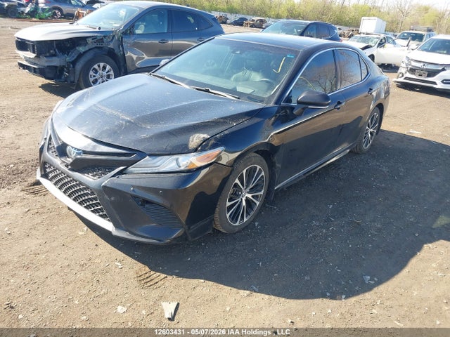 4T1BZ1HKXJU015458 Toyota Camry Xse/xle