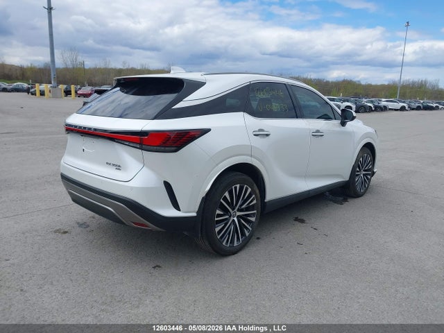 Lexus Rx 350h 2024 2T2BBMCA8RC046933 Image 4