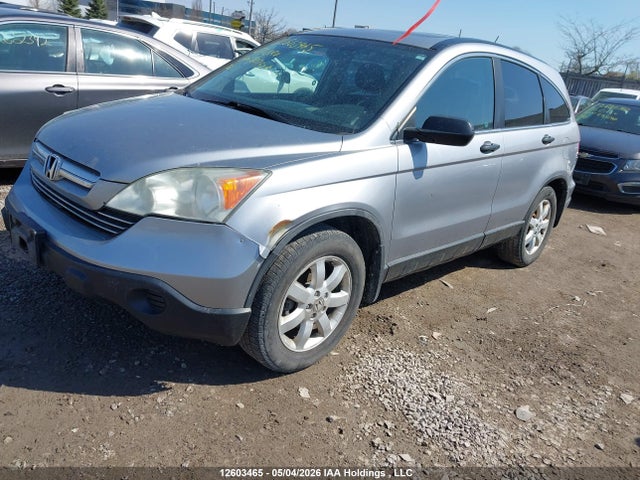 Продажа на аукционе авто 2007 Honda Cr-v, vin: 5J6RE48537L807924, номер лота: 12603465