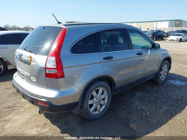 Продажа на аукционе авто 2007 Honda Cr-v, vin: 5J6RE48537L807924, номер лота: 12603465