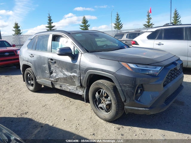 2023 Toyota Rav4 Hybrid მანქანა იყიდება აუქციონზე, vin: 2T3RWRFV2PW180293, აუქციონის ნომერი: 12603496
