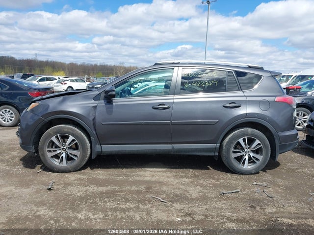 2T3RFREVXGW422829 Toyota Rav4 Xle
