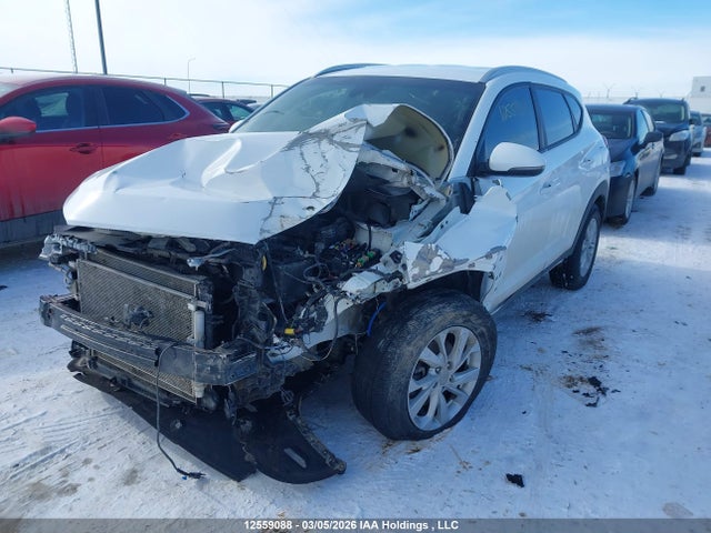 Продаж на аукціоні авто 2019 Hyundai Tucson Preferred, vin: KM8J3CA40KU855075, номер лоту: 12559088