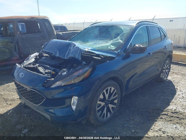 Продажа на аукционе авто 2020 Ford Escape Sel, vin: 1FMCU9H98LUB21134, номер лота: 12603581