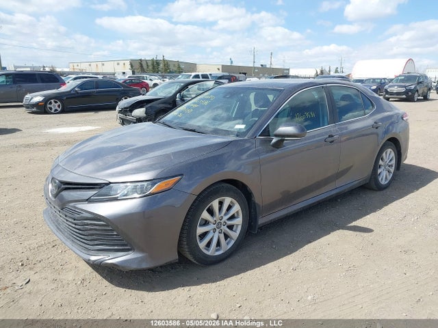 4T1B11HK7KU759768 Toyota Camry L/le/xle/se/xse