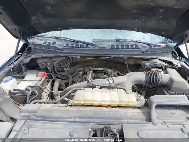 Продажа на аукционе авто 2020 Ford F150 Supercrew, vin: 1FTEW1EP4LFC35986, номер лота: 12603610