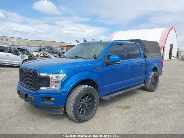 Продажа на аукционе авто 2020 Ford F150 Supercrew, vin: 1FTEW1EP4LFC35986, номер лота: 12603610