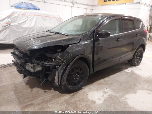 1FMCU0GX6EUE16571 Ford ESCAPE SE