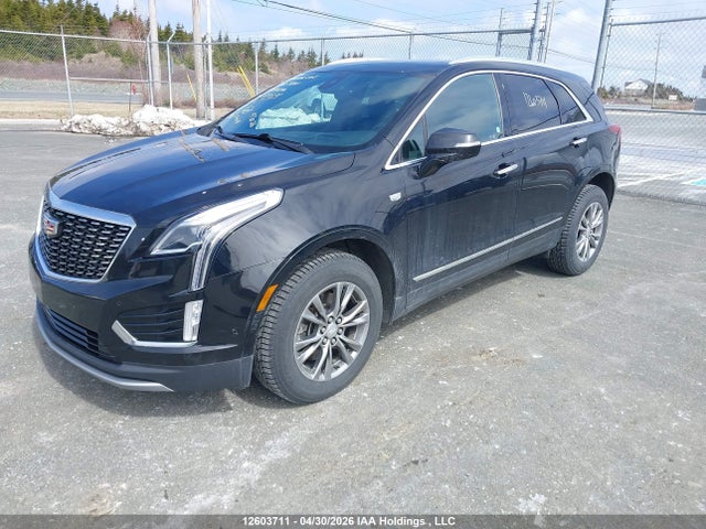 Aukcja sprzedaży 2022 Cadillac Xt5 Premium Luxury, vin: 1GYKNDRSXNZ117846, numer aukcji: 12603711