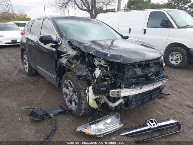 2019 Honda Cr-v Ex მანქანა იყიდება აუქციონზე, vin: 2HKRW2H54KH148448, აუქციონის ნომერი: 12603723