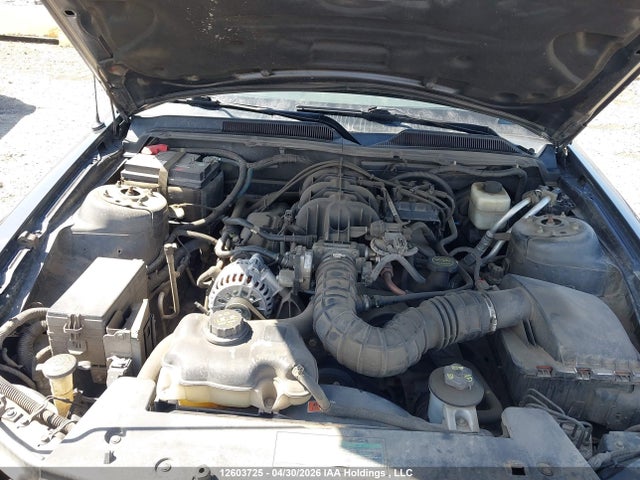 2007 Ford Mustang Convertible მანქანა იყიდება აუქციონზე, vin: 1ZVFT84N675343489, აუქციონის ნომერი: 12603725