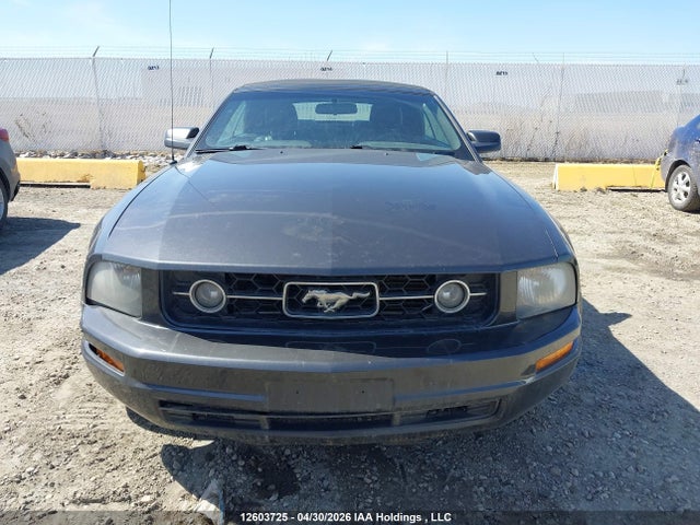 2007 Ford Mustang Convertible მანქანა იყიდება აუქციონზე, vin: 1ZVFT84N675343489, აუქციონის ნომერი: 12603725