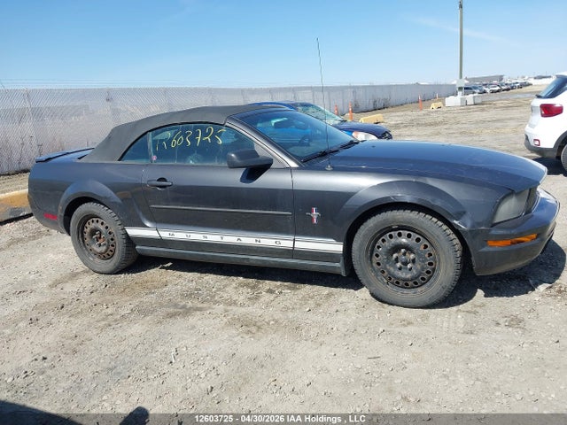 2007 Ford Mustang Convertible მანქანა იყიდება აუქციონზე, vin: 1ZVFT84N675343489, აუქციონის ნომერი: 12603725