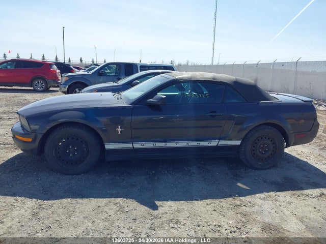 2007 Ford Mustang Convertible მანქანა იყიდება აუქციონზე, vin: 1ZVFT84N675343489, აუქციონის ნომერი: 12603725