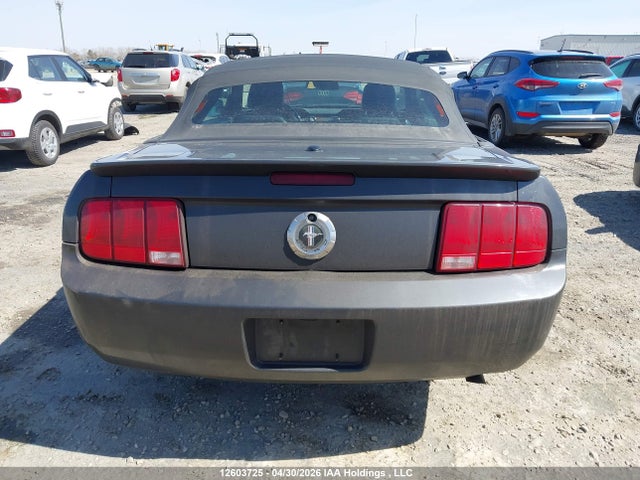 2007 Ford Mustang Convertible მანქანა იყიდება აუქციონზე, vin: 1ZVFT84N675343489, აუქციონის ნომერი: 12603725