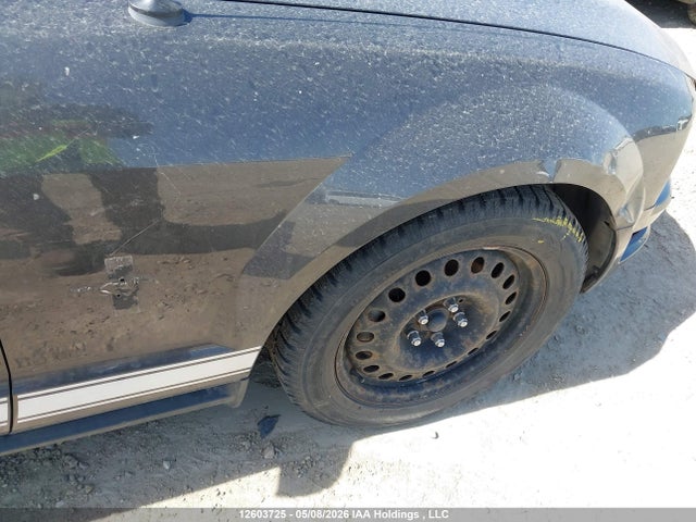 2007 Ford Mustang Convertible მანქანა იყიდება აუქციონზე, vin: 1ZVFT84N675343489, აუქციონის ნომერი: 12603725