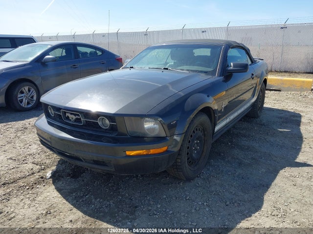 2007 Ford Mustang Convertible მანქანა იყიდება აუქციონზე, vin: 1ZVFT84N675343489, აუქციონის ნომერი: 12603725