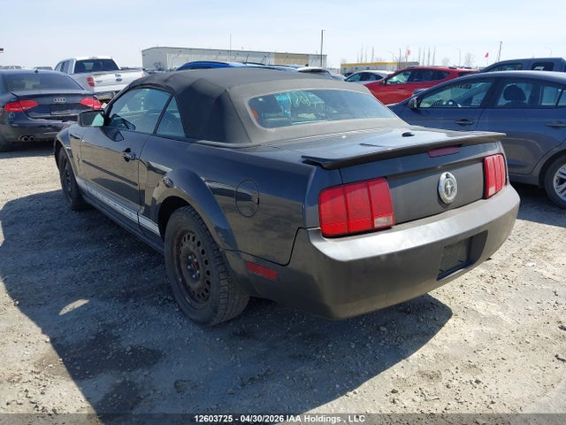 2007 Ford Mustang Convertible მანქანა იყიდება აუქციონზე, vin: 1ZVFT84N675343489, აუქციონის ნომერი: 12603725