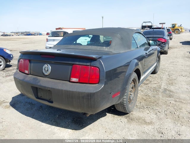 2007 Ford Mustang Convertible მანქანა იყიდება აუქციონზე, vin: 1ZVFT84N675343489, აუქციონის ნომერი: 12603725