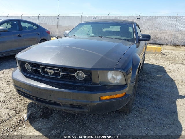 2007 Ford Mustang Convertible მანქანა იყიდება აუქციონზე, vin: 1ZVFT84N675343489, აუქციონის ნომერი: 12603725