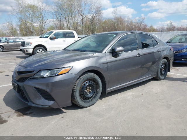12603751 :رقم المزاد ، 4T1B11HK8KU253236 vin ، 2019 Toyota Camry Se مزاد بيع