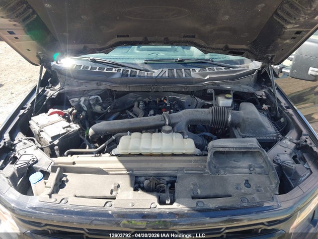 Ford F150 Xlt 2024 1FTFW3L86RFA99395 Image 10