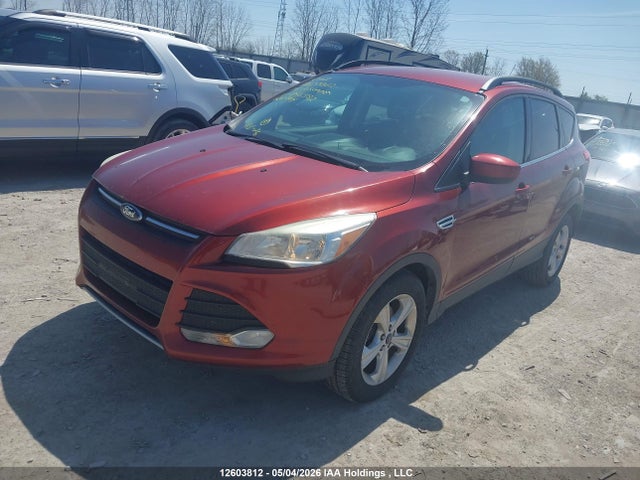 Aukcja sprzedaży 2014 Ford Escape Se, vin: 1FMCU0GX0EUD96382, numer aukcji: 12603812
