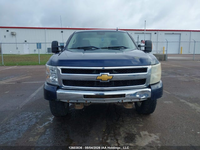 2009 Chevrolet Silverado K1500 მანქანა იყიდება აუქციონზე, vin: 3GCEK13329G132813, აუქციონის ნომერი: 12603836