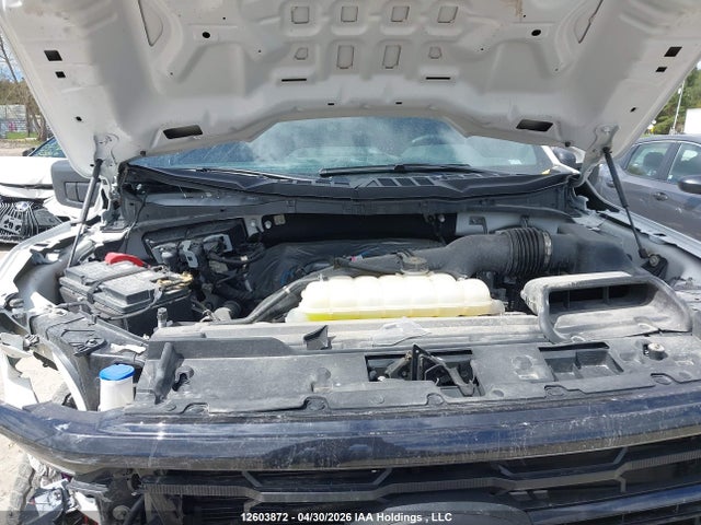 Продаж на аукціоні авто 2025 Ford F150 Xlt, vin: 1FTEW3LP8SKF70219, номер лоту: 12603872
