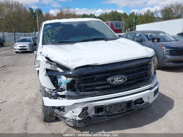 Продаж на аукціоні авто 2025 Ford F150 Xlt, vin: 1FTEW3LP8SKF70219, номер лоту: 12603872