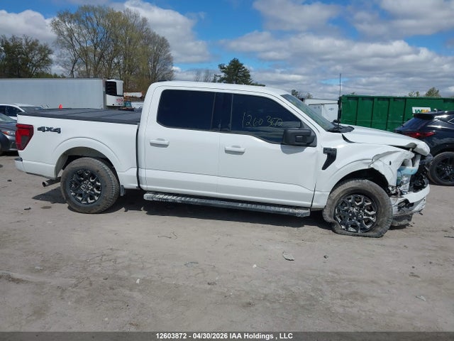 Продаж на аукціоні авто 2025 Ford F150 Xlt, vin: 1FTEW3LP8SKF70219, номер лоту: 12603872