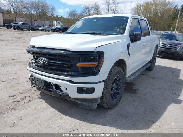 Продаж на аукціоні авто 2025 Ford F150 Xlt, vin: 1FTEW3LP8SKF70219, номер лоту: 12603872