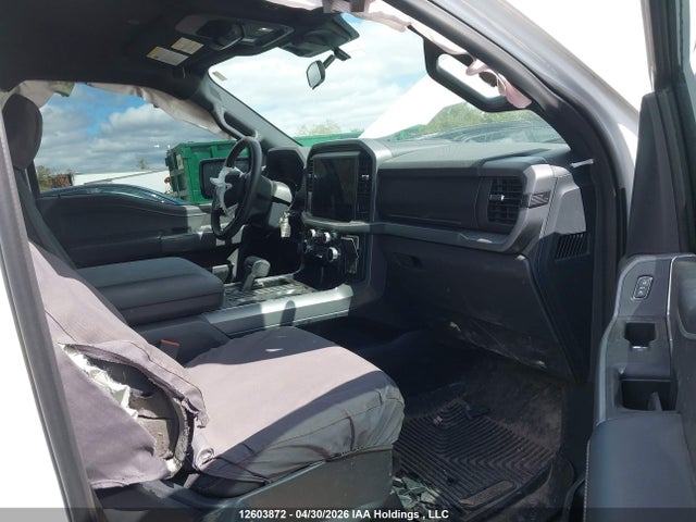 Продаж на аукціоні авто 2025 Ford F150 Xlt, vin: 1FTEW3LP8SKF70219, номер лоту: 12603872