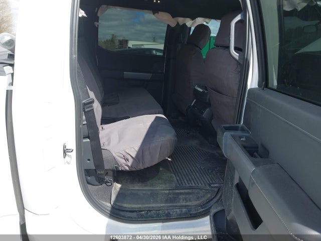 Продаж на аукціоні авто 2025 Ford F150 Xlt, vin: 1FTEW3LP8SKF70219, номер лоту: 12603872