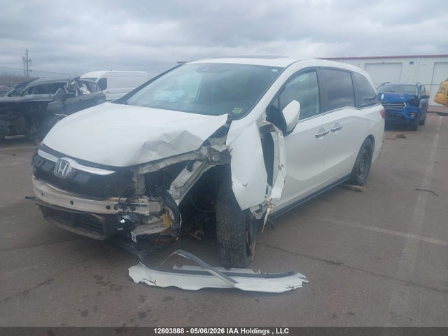 2020 Honda Odyssey Ex მანქანა იყიდება აუქციონზე, vin: 5FNRL6H48LB505010, აუქციონის ნომერი: 12603888