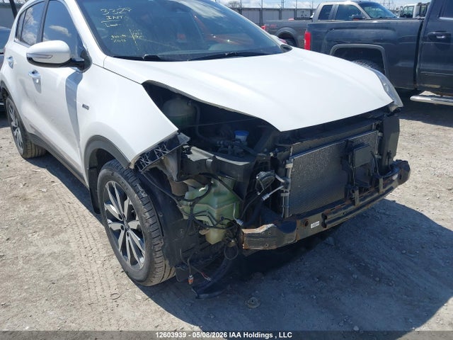 KNDPNCAC0K7509557 KIA Sportage