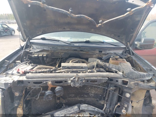 Продажа на аукционе авто 2010 Ford F150, vin: 1FTNF1E86AKC18331, номер лота: 12603942