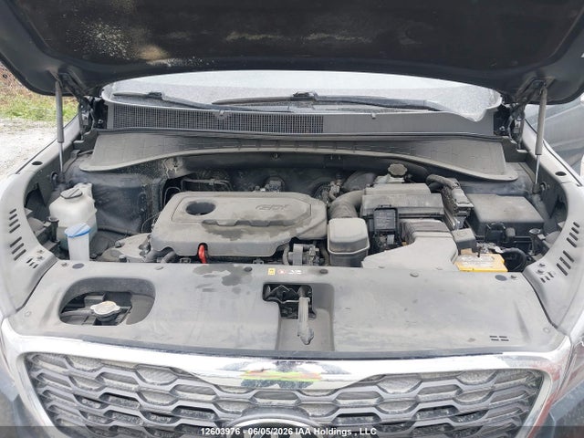 Aukcja sprzedaży 2020 Kia Sorento L/lx, vin: 5XYPGDA39LG615834, numer aukcji: 12603976