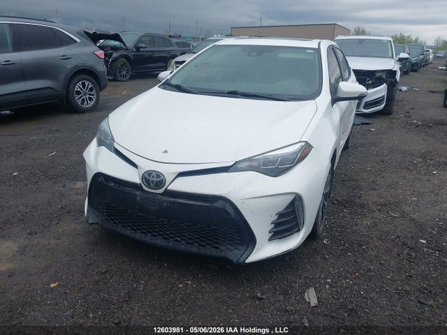 12603981 :رقم المزاد ، 2T1BURHE2KC185825 vin ، 2019 Toyota Corolla L/le/xle/se/xse مزاد بيع