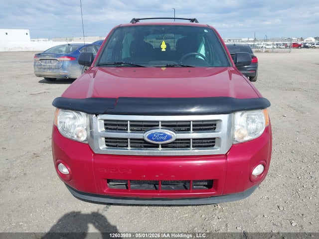 Продаж на аукціоні авто 2011 Ford Escape Xlt, vin: 1FMCU9DGXBKC14302, номер лоту: 12603989