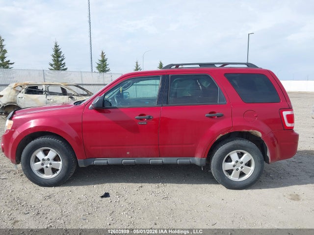 Продаж на аукціоні авто 2011 Ford Escape Xlt, vin: 1FMCU9DGXBKC14302, номер лоту: 12603989