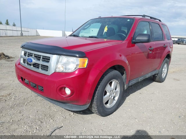 Продаж на аукціоні авто 2011 Ford Escape Xlt, vin: 1FMCU9DGXBKC14302, номер лоту: 12603989