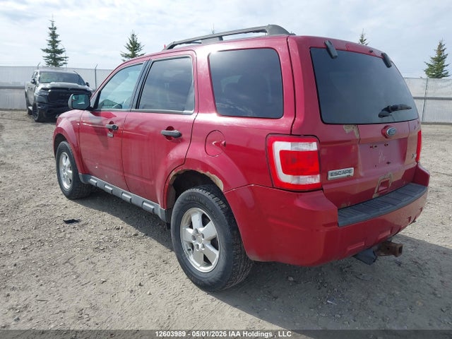 Продаж на аукціоні авто 2011 Ford Escape Xlt, vin: 1FMCU9DGXBKC14302, номер лоту: 12603989
