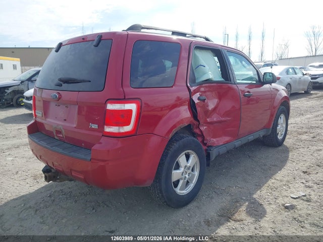 Продаж на аукціоні авто 2011 Ford Escape Xlt, vin: 1FMCU9DGXBKC14302, номер лоту: 12603989